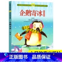 [正版]企鹅寄冰(适合小学12年级阅读冰波童话集)彩图注音版人教版语文同步阅读课文作家作品系列一二年级课外书人民教育