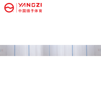 扬子(YANGZI)剑道