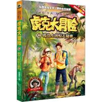 正版新书]虎克大冒险•孤岛上的惊天秘密彭绪洛9787537681261
