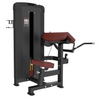 扬子(YANGZI)二头肌训练器YZ-A006