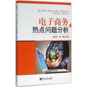 电子商务热点问题分析