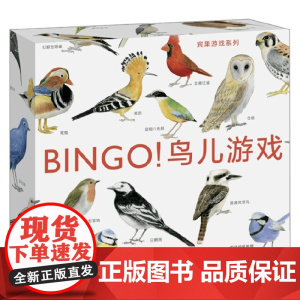 BINGO 鸟儿游戏 7-10岁 麦克·昂温 著 手工游戏