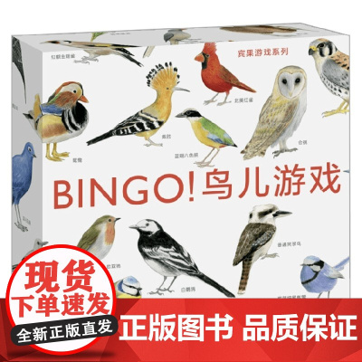 BINGO 鸟儿游戏 7-10岁 麦克·昂温 著 手工游戏