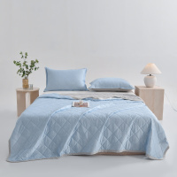 雅鹿 冰丝夏凉被