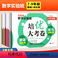 [套装2册]基础达标卷+综合培优卷 九年级/初中三年级 [正版]培优系列数学实验班培优大考卷 综合培优卷+挑战奥赛卷 七