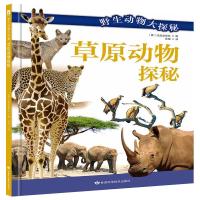 野生动物大探秘——草原动物探秘