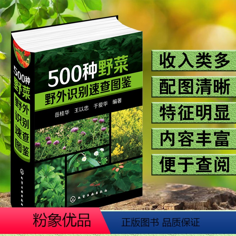 1500种中草药野外识别彩色图鉴 [正版]野菜图鉴大全500种野菜野外识别速查图鉴中国野菜野果植物菌类图鉴图谱一本通