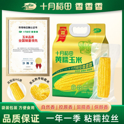 十月稻田黄糯玉米1.76kg[220g*8根]东北玉米棒甜糯低脂新鲜真空装早餐苞米3.52斤