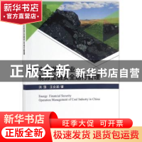 正版 中国煤炭行业能源金融安全运行管理 洪强,王会波著 科学出