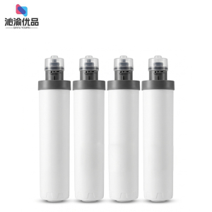 沁渝优品 滤芯 10寸/套
