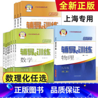 物理.九年级(第二版) [正版]新思路辅导与训练数学物理化学六七八九年级上下册6789年级下册上册初一二三年级第一二学期