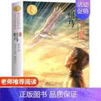 [正版]根鸟 曹文轩原著纯美小说插图朗读版 儿童文学校园青少年版必三四五六年级小学生课外阅读书籍全套原版完整版寒暑假书目