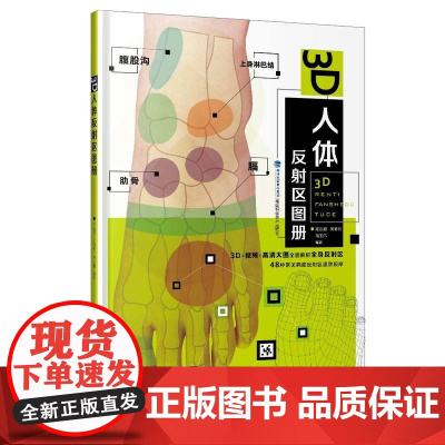 3D人体反射区图册 陈谷超、郭修兵、高玉伟 福建科技出版社 正版书籍