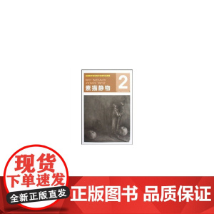高中专业教程 素描静物