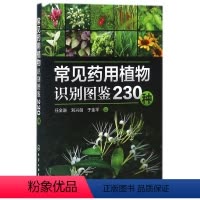 [正版]常见药用植物识别图鉴230种