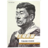 正版新书]ZZ非常素描-考前素描头像教程张乃迪9787541062926