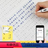 [正版]字帖练字大学生严海南落字有声见字如面心灵雅韵行楷字帖女生字体漂亮文艺古风清秀唯美练字帖成年初学者