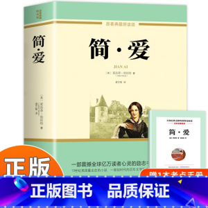 [人教版]简爱 [正版]简爱儒林外史原著无删减完整版人教版初中生九年级下册课外书全套阅读儒林外史加简爱解读书籍九下必读