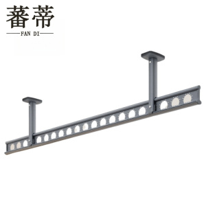 蕃蒂