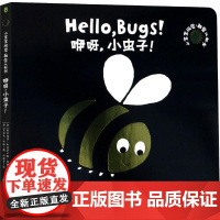 咿呀,小虫子! 阳光出版社 (英)斯密瑞提·布拉萨达姆·霍斯 著 纸面包 译 (英)艾莉森·布朗 绘