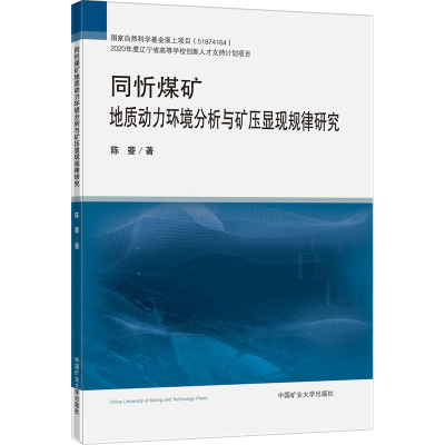 同忻煤矿地质动力环境分析与矿压显现规律研究