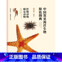 [正版]中国常见海洋生物原色图典 腔肠动物棘皮动物 书店书籍