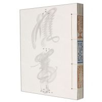 [N]风筝史话-9787558092817