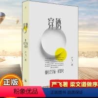 [正版]穿透:像社会学家一样思考清华大学社会学家严飞著 钱颖一刘瑜郝景芳梁文道作序 社会学小说集