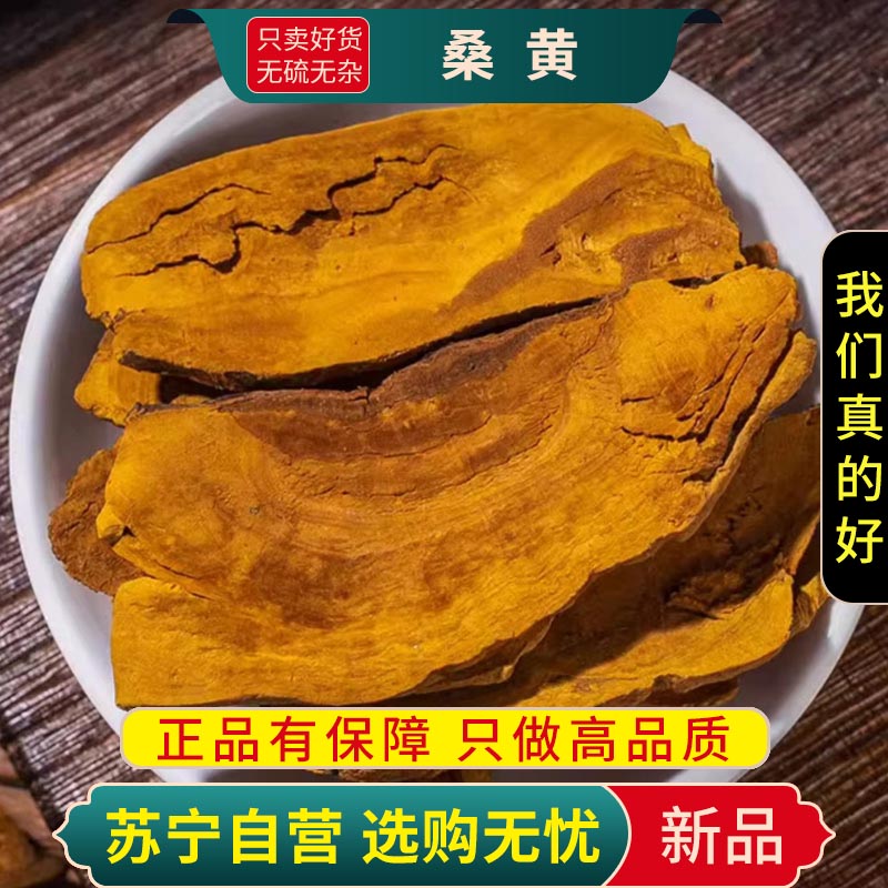 甄选桑黄100克干货正品新货小努桑树桑黄正宗灵芝煮水泡茶另售人参