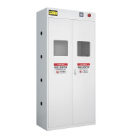 戴劲 气瓶柜防爆柜易燃气体存储柜易爆气体存放柜安全柜 双瓶一代