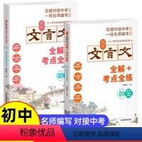 初中文言文全解+考点全练 初中通用 [正版]初中文言文全解全练2册 人教版小升初7-8-9年级中学生通用古诗词和文言文初