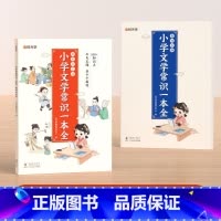 [全2册]知识点汇总+集训手册 小学通用 [正版]时光学小学文学常识一本全小学必背语文基础知识大全写好优美句子1-6年级