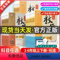 数学 人教版 小学通用 [正版]鼎尖教案小学语文数学英语科学体育道德与法治一二三四五六年级上下册全套人教苏教北师大版教案