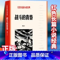 [正版]战斗的青春 雪克 中小学生革命红色长篇经典爱国主义教育文学丛书小故事阅读书籍 寒暑假课外书目