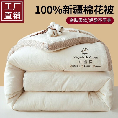 无印风新疆棉花被子被芯单人春秋被加厚冬被棉被四季通用南通