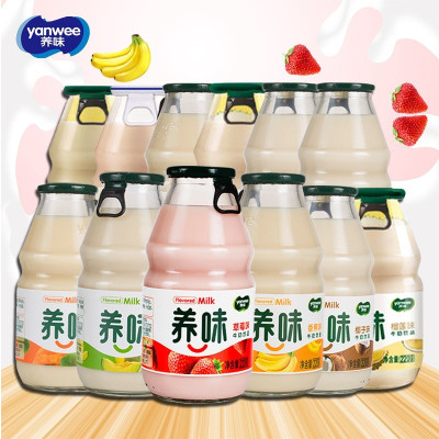 养味牛奶草莓香蕉甜牛奶12瓶早餐儿童学生乳酸菌酸奶饮料品