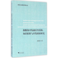 音像新服务开发前后台结构、知识转移与开发绩效研究黄秋波 著