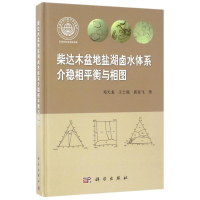 音像介稳相平衡与相图/柴达木盆地盐湖卤水体系邓天龙