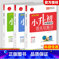 (语文+数学+英语)3本 小学升初中 [正版]小升初语文数学英语总复习知识大全六年级下册名师帮你小学升初中系统总复习人教
