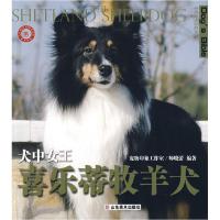 正版新书]犬中女王--喜乐蒂牧羊犬(世界名犬驯养宝典)(SHETLANDT