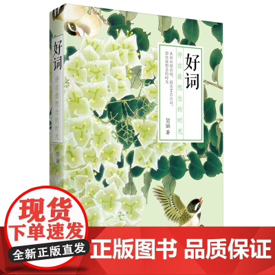 好词 停在*想念的时光