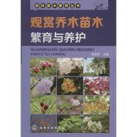 观赏乔木苗木繁育与养护