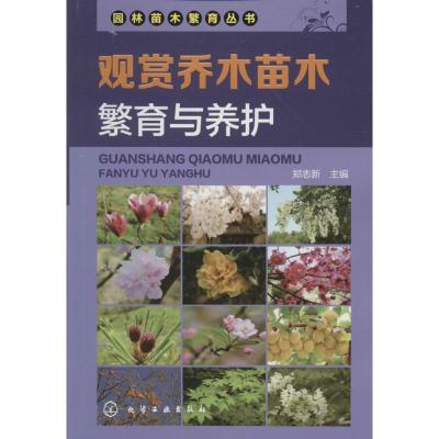 观赏乔木苗木繁育与养护