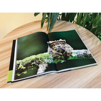 [M]自然的呢喃 微距摄影的平行世界-9787121441974