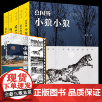 [正版]5册沈石溪动物小说五部曲典藏版狼图腾小狼小狼 野马归野长白山猎话最后的獒王最后的藏羚青少年儿童文学读物绘本故事