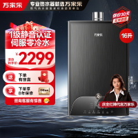 万家乐安睡洗 燃气热水器16升一级轻音零冷水智慧伺服恒温家用防冻wifi智控天然气JSQ30-16RL10