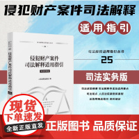 正版 侵犯财产案件司法解释适用指引 司法实务版 人民法院出版社 9787510943119