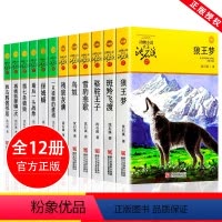 [全12册]沈石溪动物小说 [正版]狼王梦沈石溪全套画本四五六年级小学生课外阅读书漫画版全集十大非经典五年级注音版珍