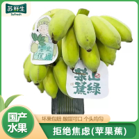 卡片随机[苏鲜生]新鲜小米蕉 禁止蕉绿 2斤 1把 新鲜当季水果 香甜软糯 办公桌绿植