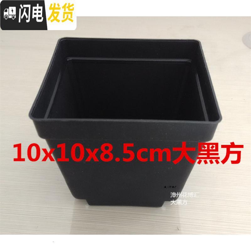三维工匠掌柜推荐桌面简约多肉植物花盆小黑方扦插育苗塑料方盆价优 6.5方盆24孔花架4个 中小花盆容器